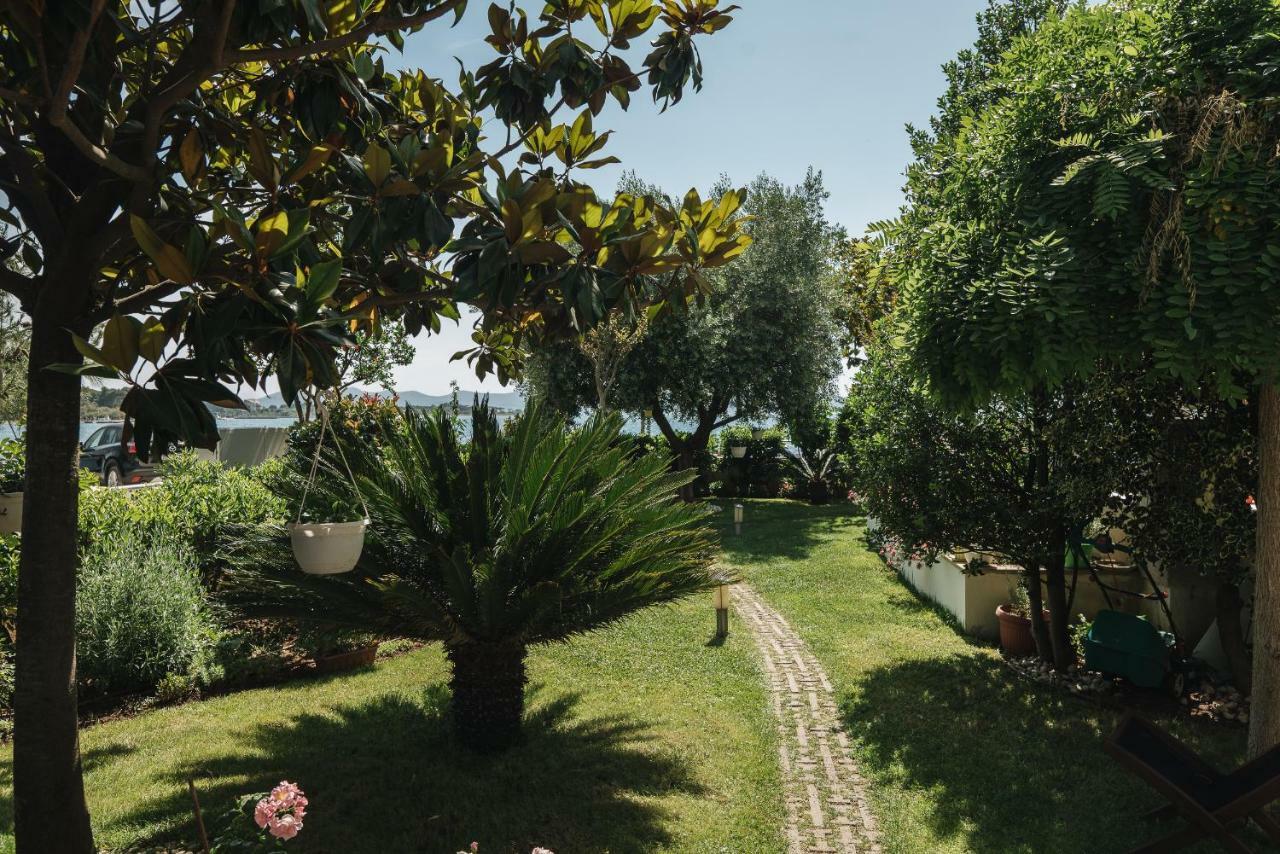 Apartments Lucija Zadar Exterior photo